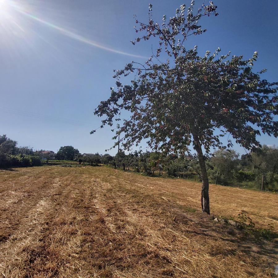 Quinta Jr - Casa De Campo Carregal  Экстерьер фото